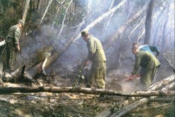 5 vietos, kurias būtina aplankyti Alytuje