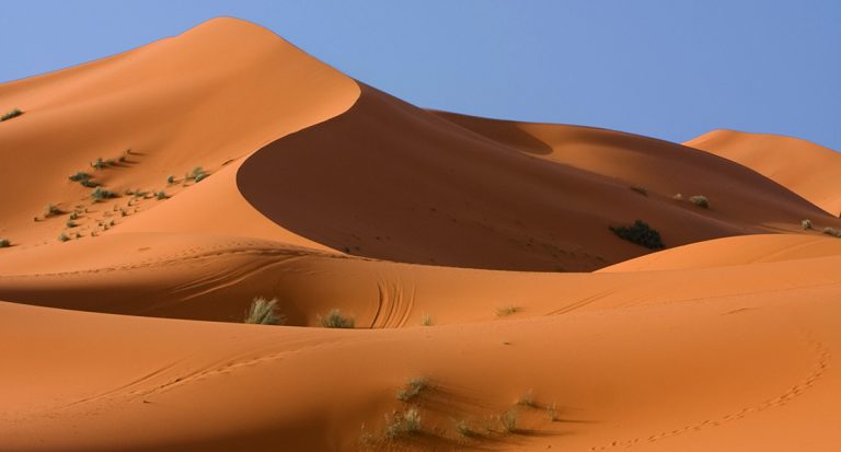 Turistinė kelionė į Egiptą